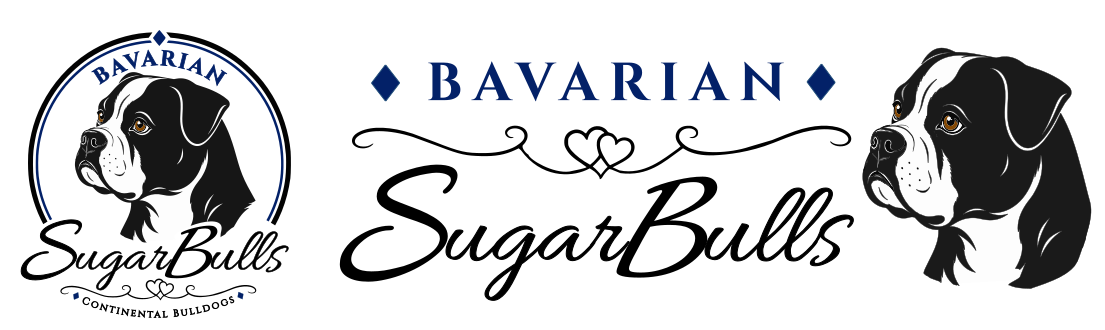 Bavarian Sugarbulls