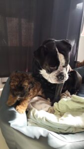 38134a00-048c-4458-ae3b-23affd33b87b - Kopie